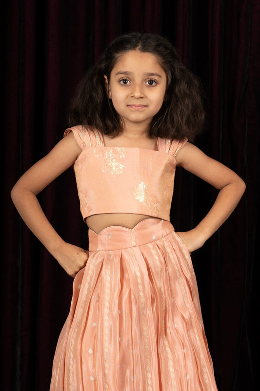 dupion tissue light peach pink Girls Lehanga Choli