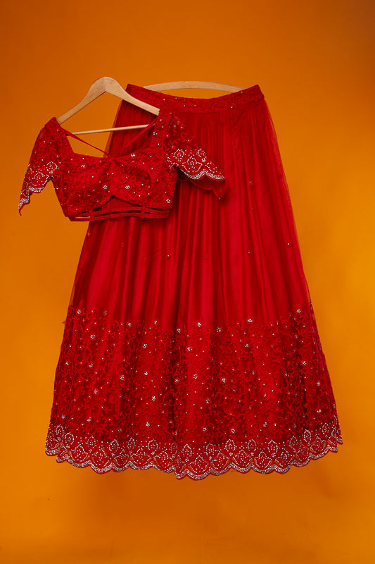 net / tule lehenga with blouse